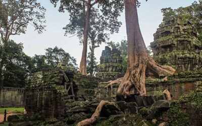 3 Day Private Tour- City Tour + Discovering Angkor Temples ( Option 1)